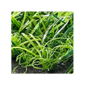 cheap green garden grass artificial green wall artificial vertical garden artificial green blanket